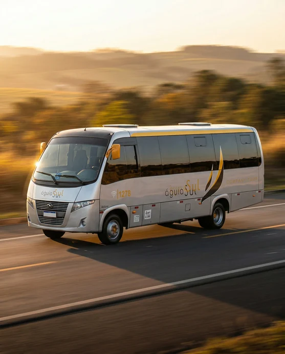 Micro-ônibus da Águia Sul Turismo em estrada